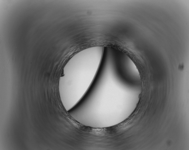 X0000099320240200805091049