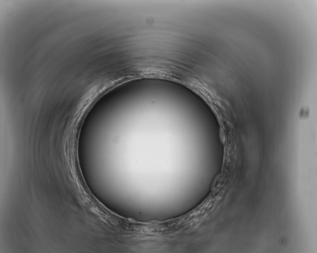 X0000099320241200805091048