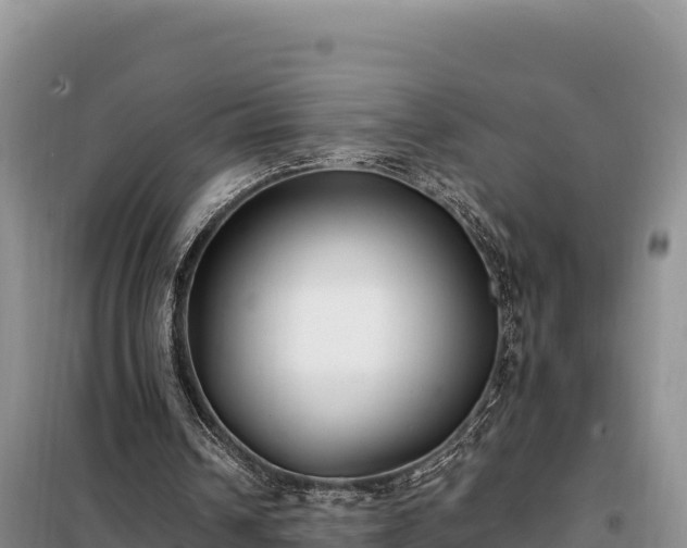 X0000099320242200805091048