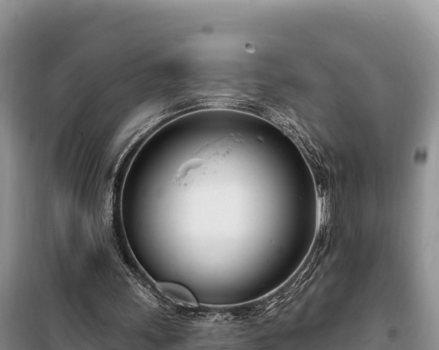 X0000099320243200805091048