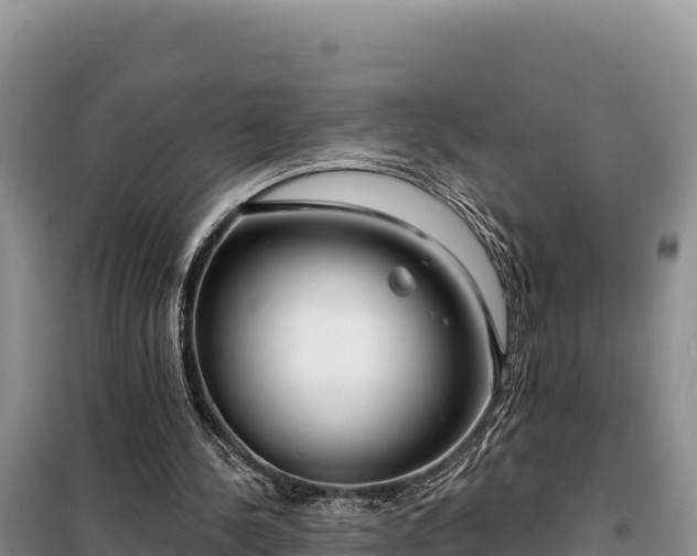 X0000099320244200805091048