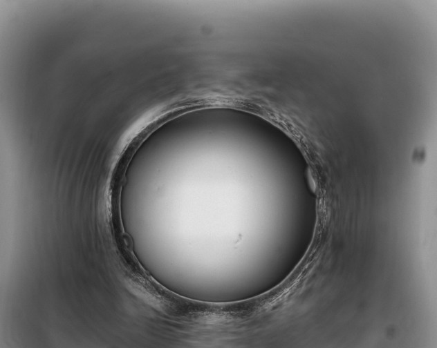 X0000099320246200805091048