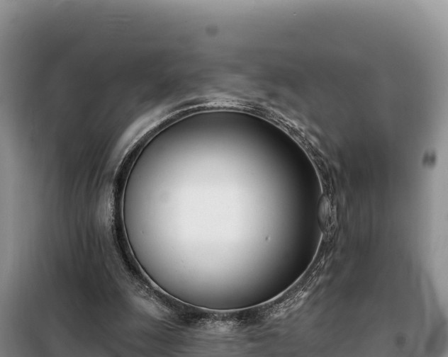 X0000099320247200805091048