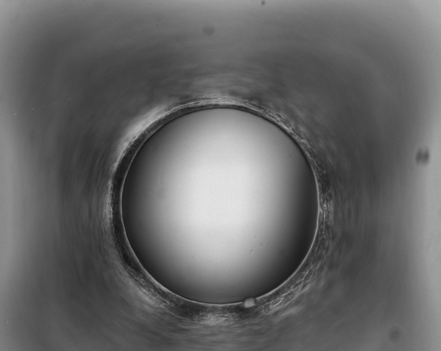 X0000099320248200805091048