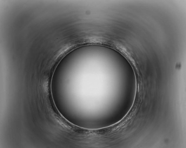 X0000099320249200805091048