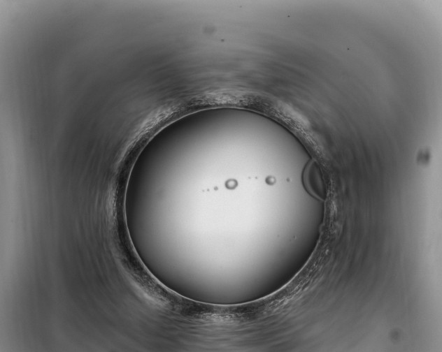 X0000099320250200805091048