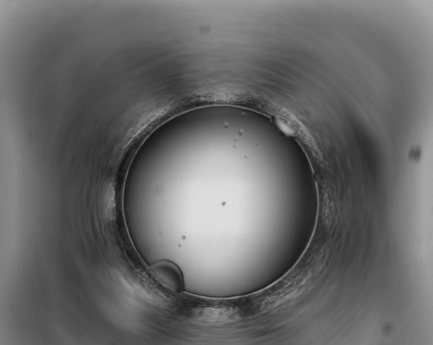 X0000099320251200805091048