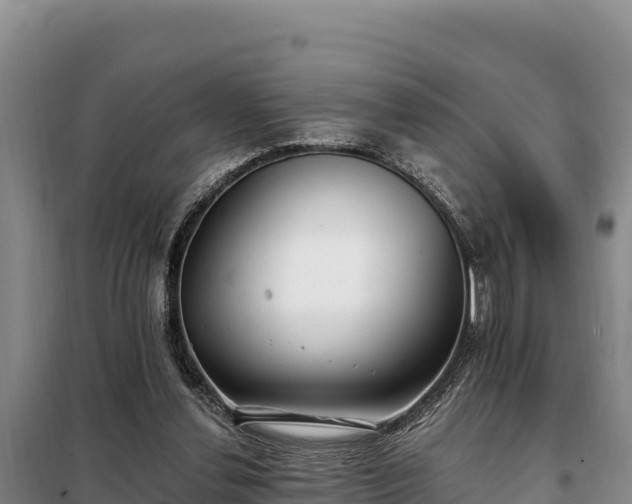 X0000099320252200805091048