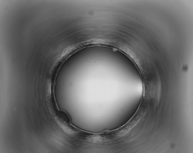 X0000099320253200805091048