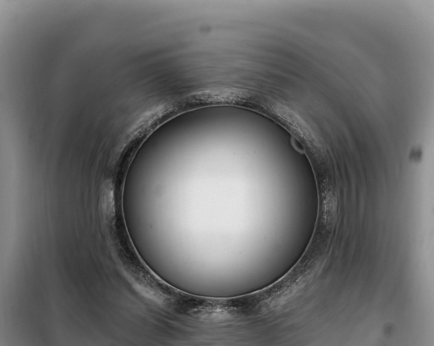 X0000099320254200805091048