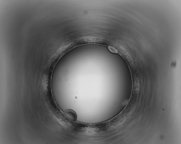 X0000099320255200805091048