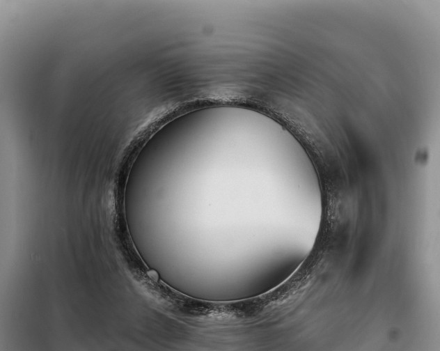 X0000099320256200805091048