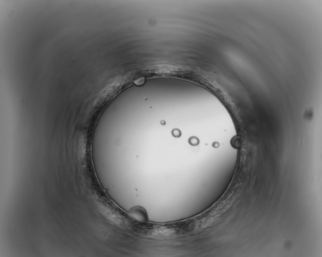 X0000099320257200805091048