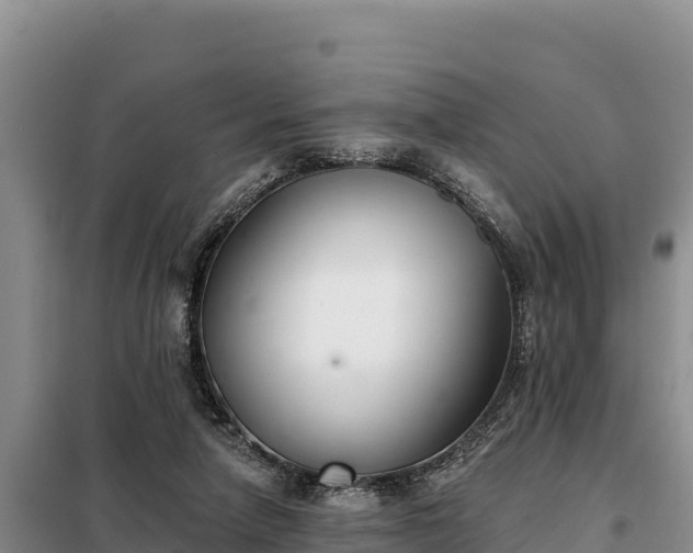 X0000099320258200805091048