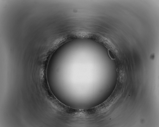 X0000099320259200805091048