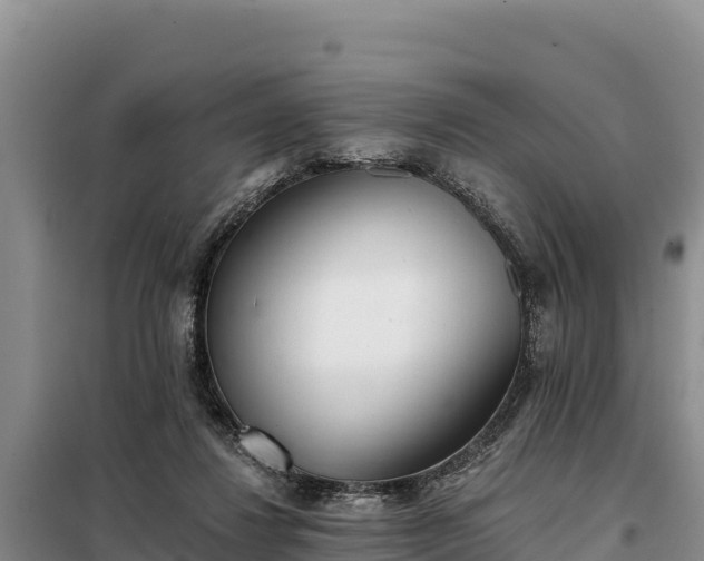 X0000099320260200805091048