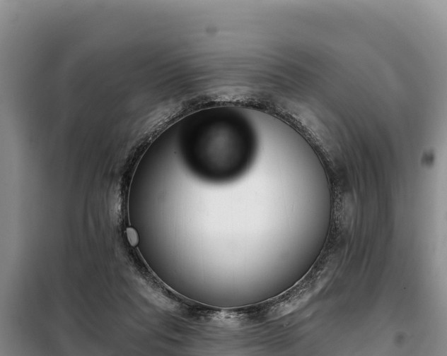 X0000099320261200805091048