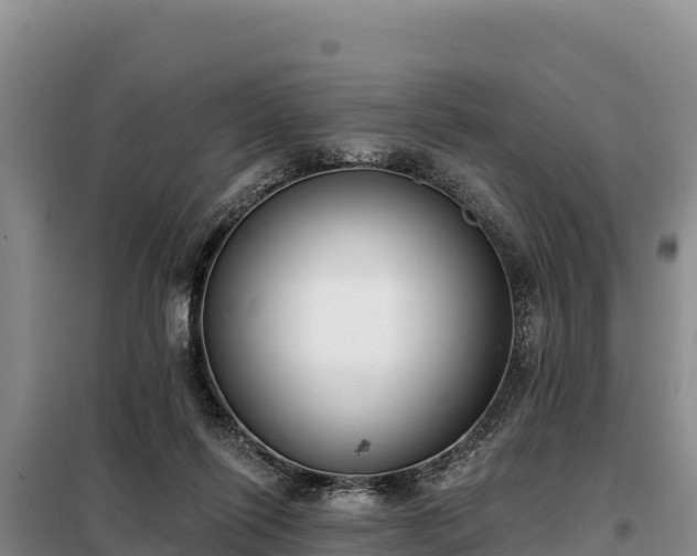 X0000099320262200805091048