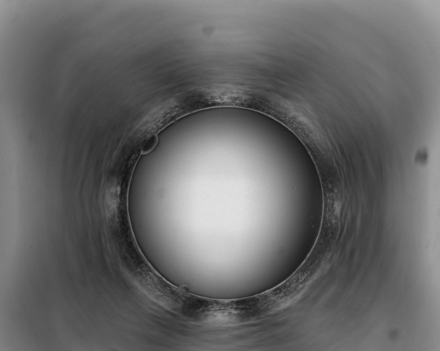 X0000099320263200805091048