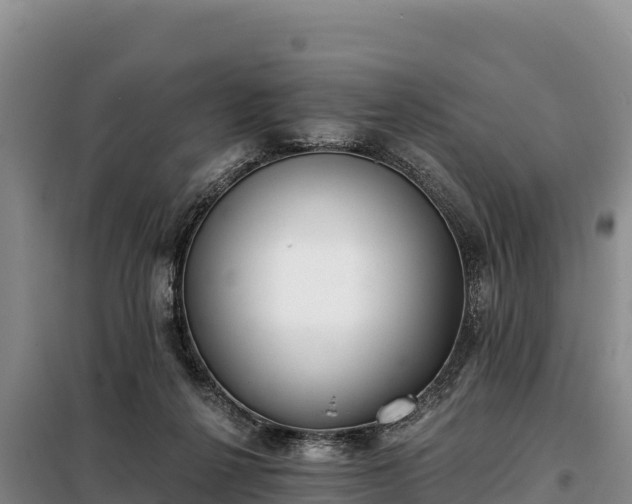 X0000099320264200805091048