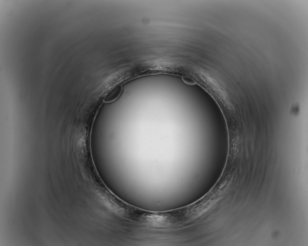 X0000099320265200805091048