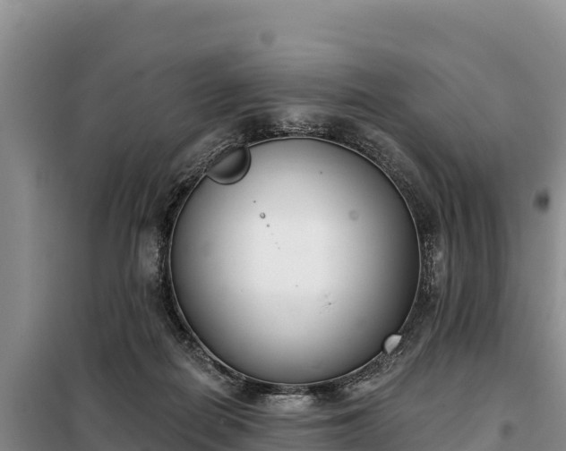 X0000099320266200805091048