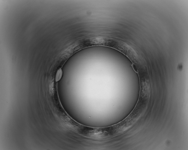 X0000099320267200805091048