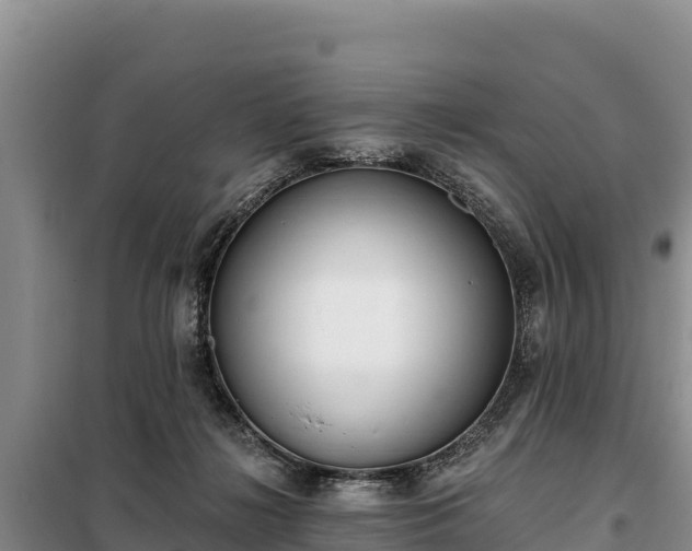 X0000099320268200805091048