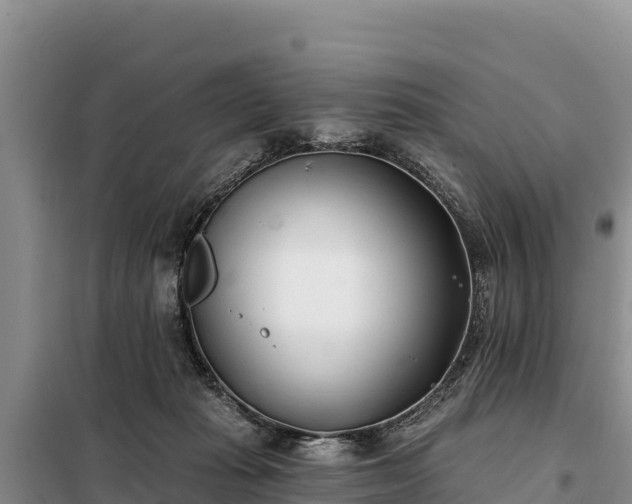 X0000099320269200805091048