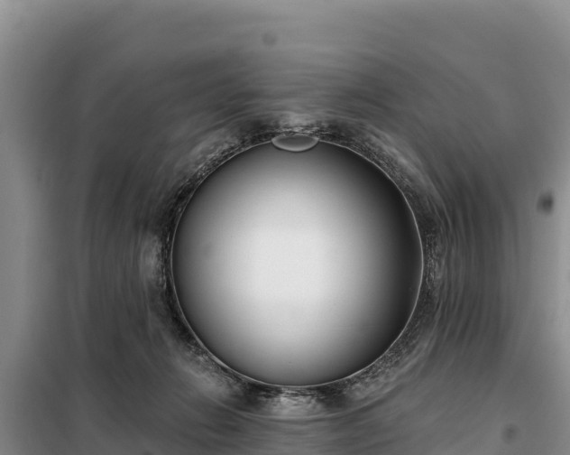 X0000099320270200805091048