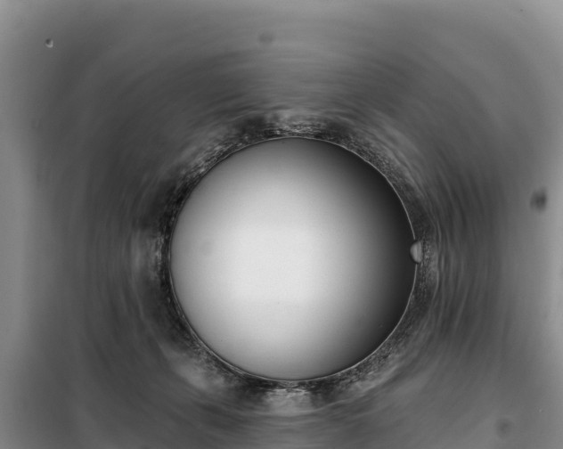 X0000099320271200805091048