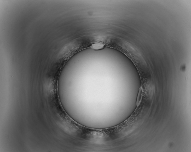 X0000099320272200805091048