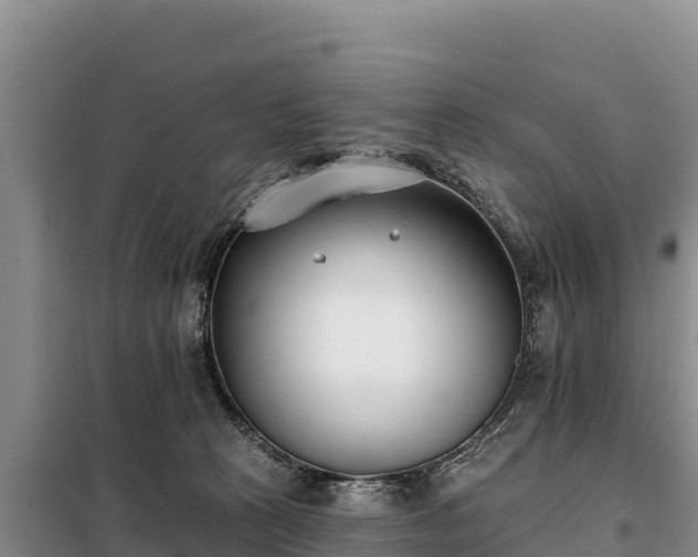 X0000099320273200805091048