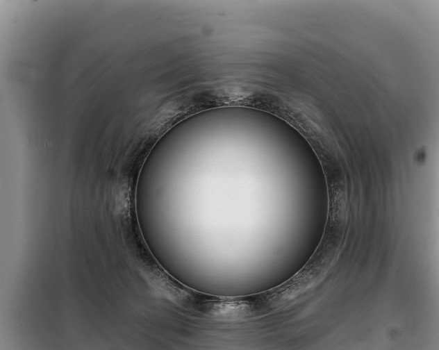 X0000099320274200805091048