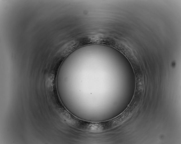 X0000099320275200805091048