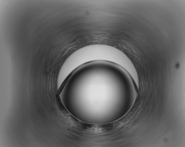 X0000099320276200805091048