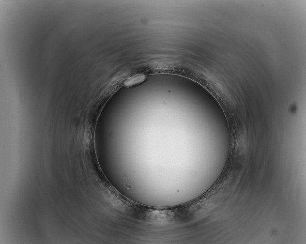 X0000099320277200805091048