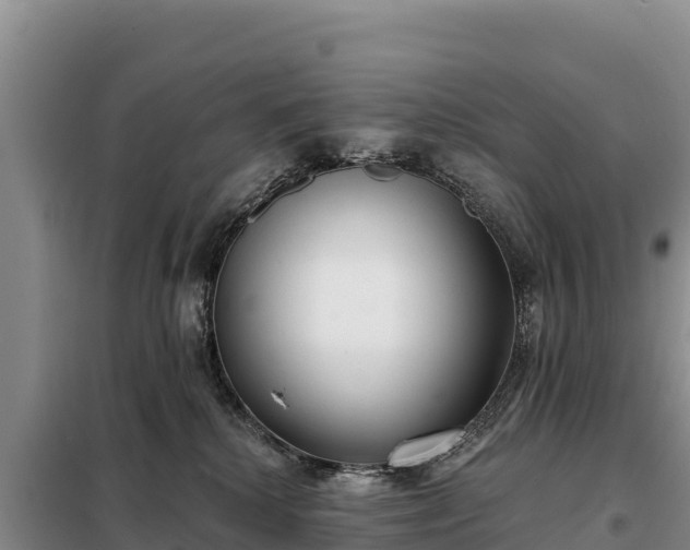 X0000099320280200805091048