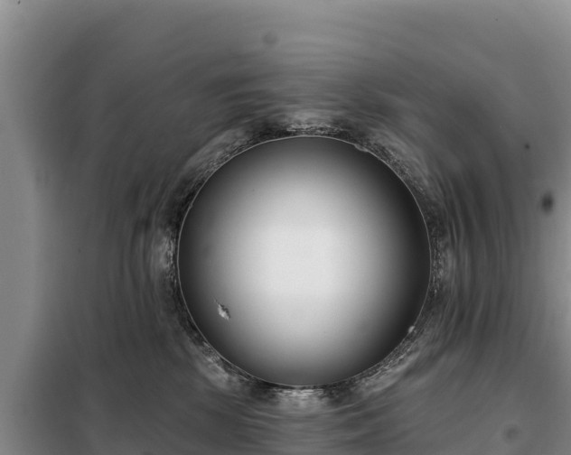 X0000099320281200805091048