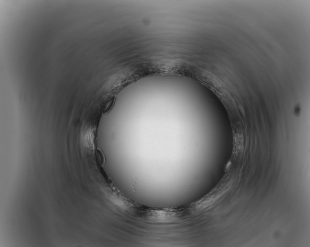 X0000099320286200805091049