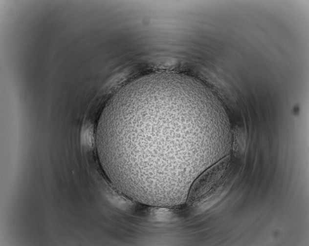 X0000099320287200805091049