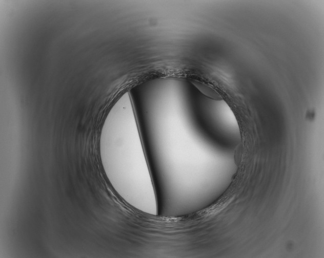 X0000099320288200805091049