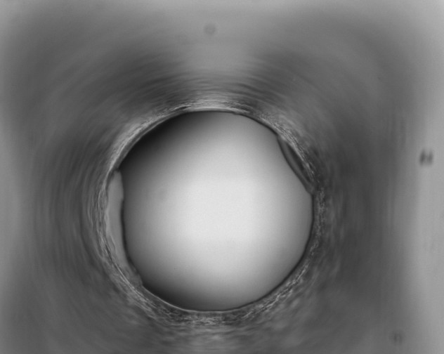 X0000099320289200805091048