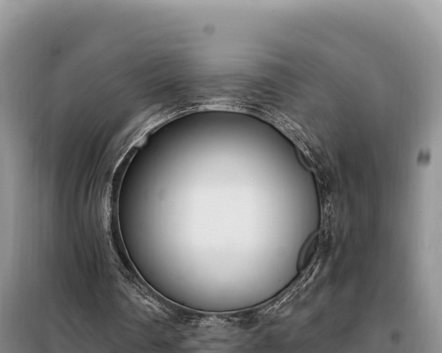 X0000099320290200805091048