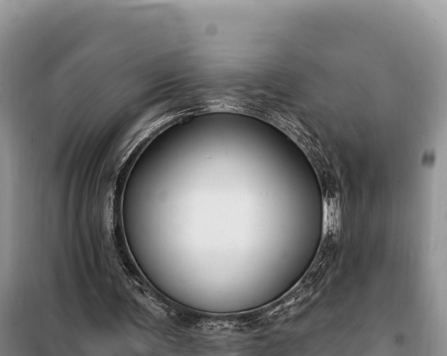 X0000099320291200805091048