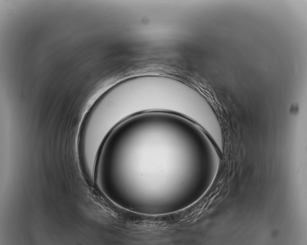 X0000099320292200805091048