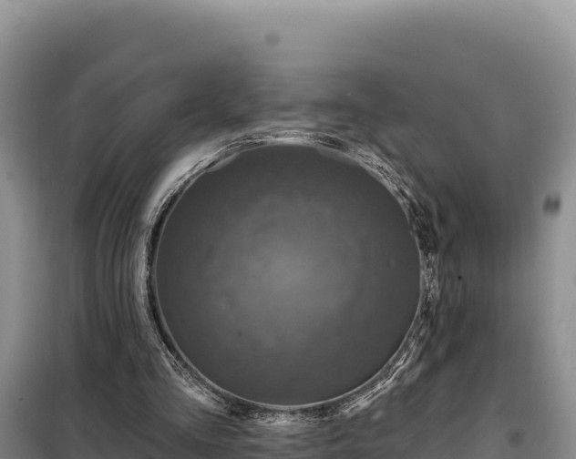 X0000099320293200805091048