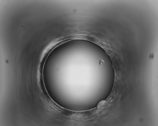 X0000099320294200805091048