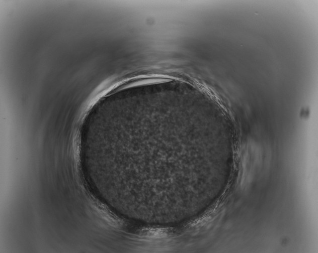 X0000099320295200805091048