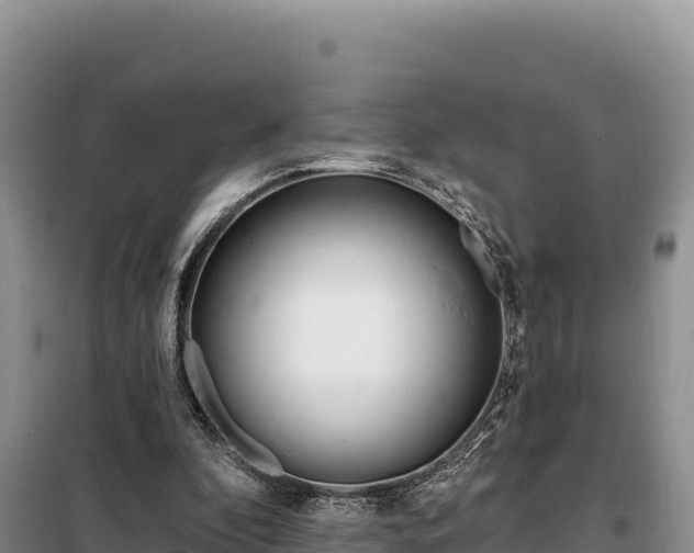 X0000099320296200805091048